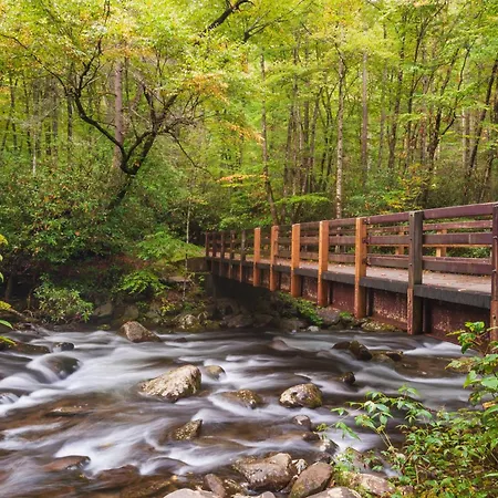 Three Bears Den, Hot Tub, Pool Table, Pool Access, 560 Free Tickets Each Paid Day-3